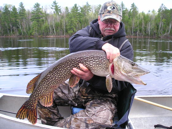 BWCAW