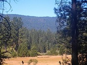 Yosemite National Park