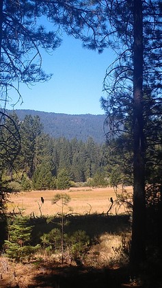 Yosemite National Park