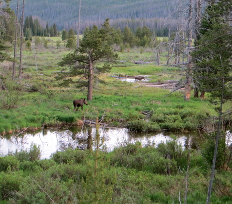 Rocky Mtn National Park