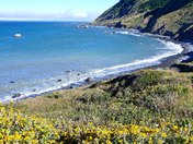 LOST COAST