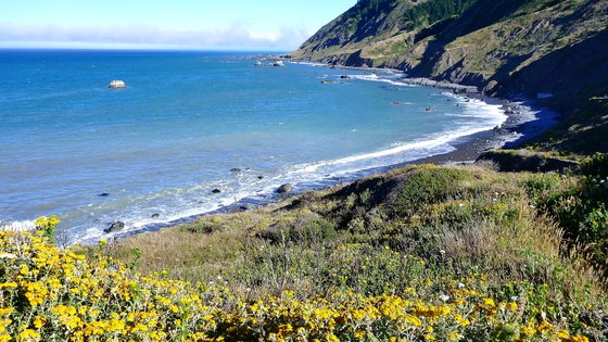 LOST COAST