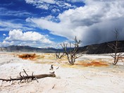 Yellowstone National Park