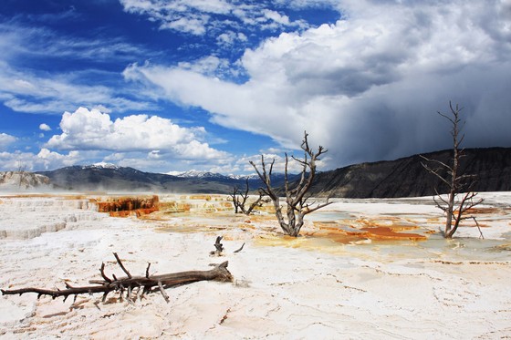 Yellowstone National Park