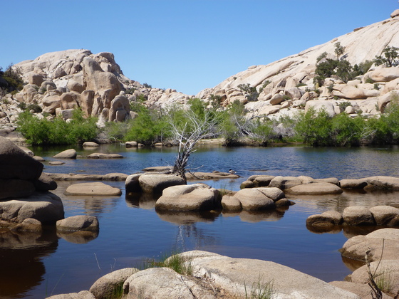 Joshua Tree National Park
