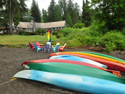 Olympic National Forest