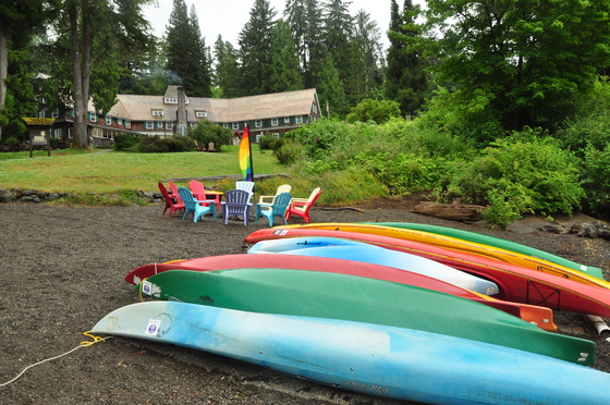 Olympic National Forest