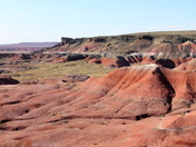 Petrified Forest National Park