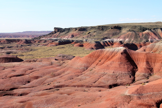 Petrified Forest National Park