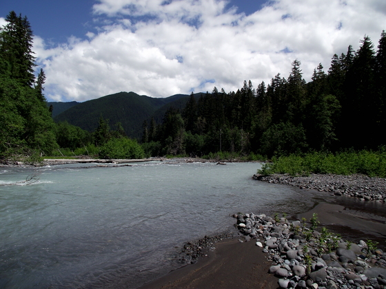 Silver Springs, Washington