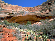 Zion National Park