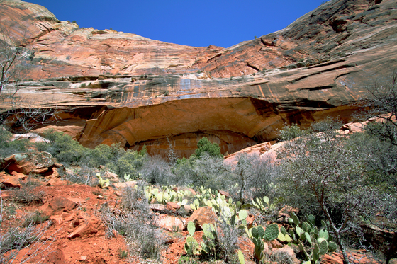 Zion National Park