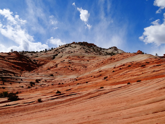 Zion National Park