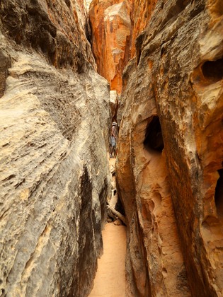 Capitol Reef National Park