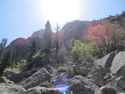 Sequoia National Park