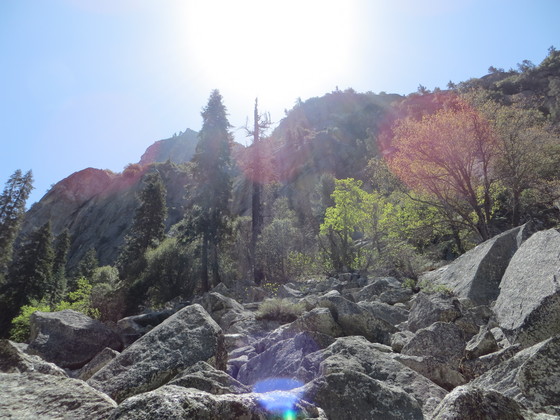 Sequoia National Park
