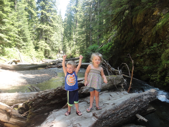 Pinchot Forest/Iron creek