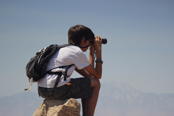 Joshua Tree National Park