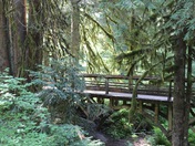 Lost Creek Campground Mt. Hood Forest