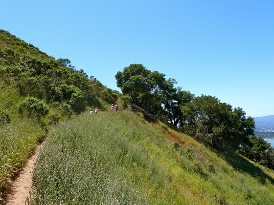 Angel Island National Park