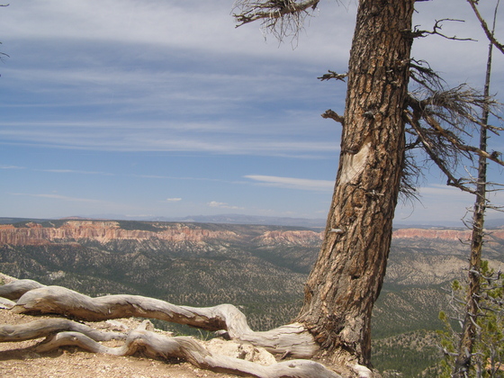 Bryce Canyon National Park