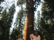 Sequoia National Park