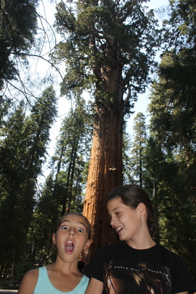 Sequoia National Park