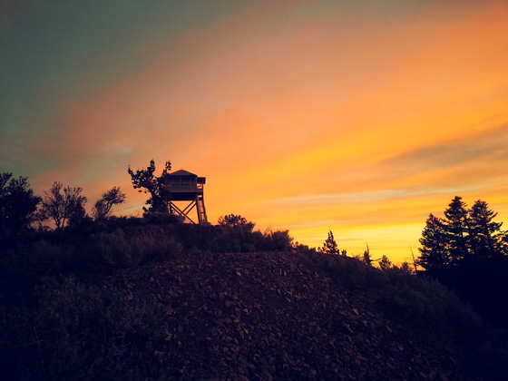 Malheur National Forest