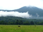 Smoky Mountain National Park