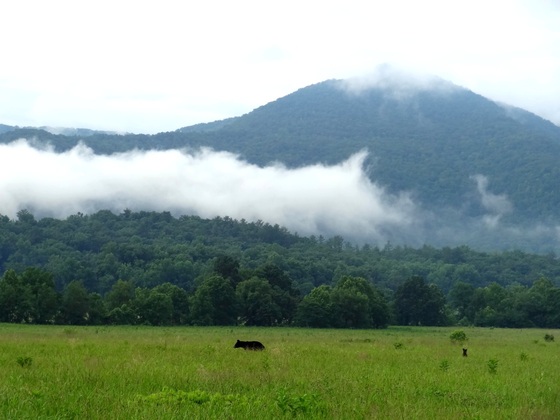 Smoky Mountain National Park