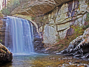 Pisgah National Forest