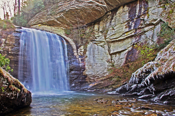 Pisgah National Forest