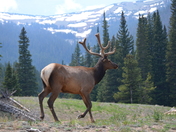 Rocky Mountain Nationl Park