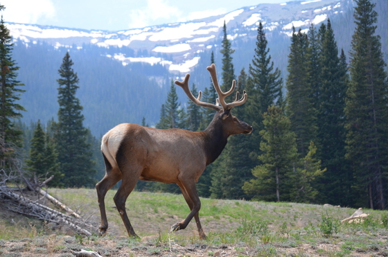 Rocky Mountain Nationl Park