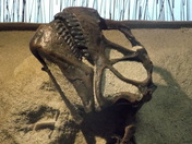 Dinosaur National Monument