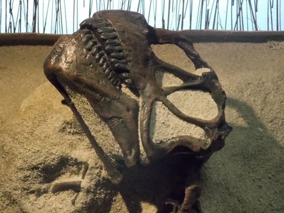 Dinosaur National Monument