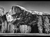 Yosemite National Park
