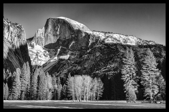 Yosemite National Park
