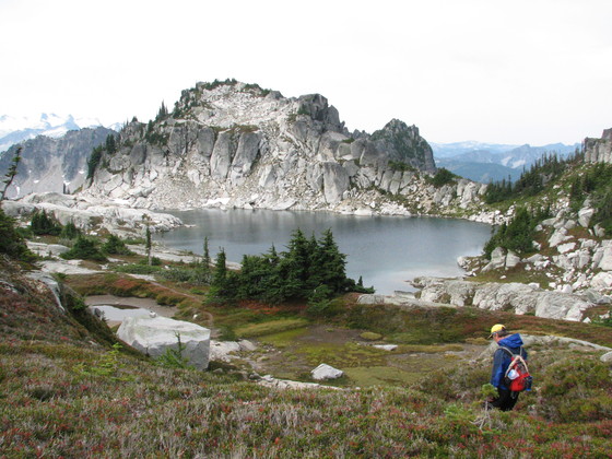 US Forest Service