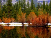Yosemite National Park 