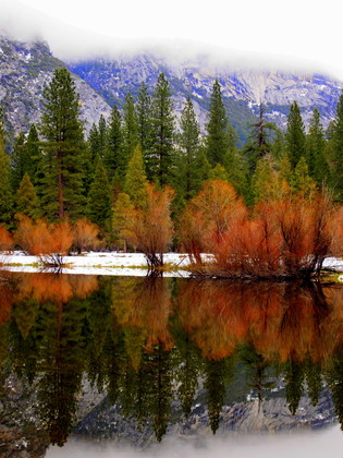 Yosemite National Park 