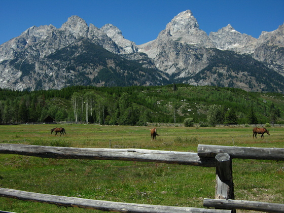 Tetons National Park