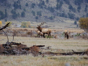 Rocky Mountain National Park