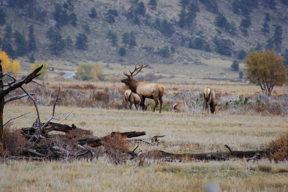 Rocky Mountain National Park