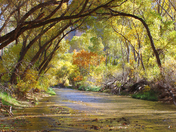 Aravaipa Canyon Wilderness