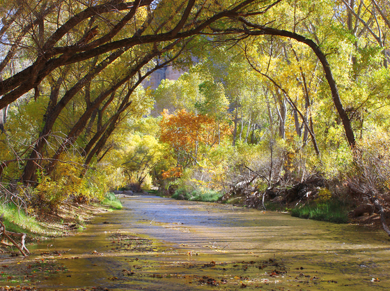 Aravaipa Canyon Wilderness