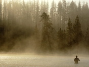 Yellowstone National Park