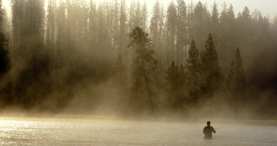 Yellowstone National Park