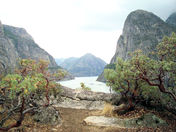 Sierra National Forest
