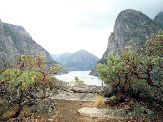 Sierra National Forest